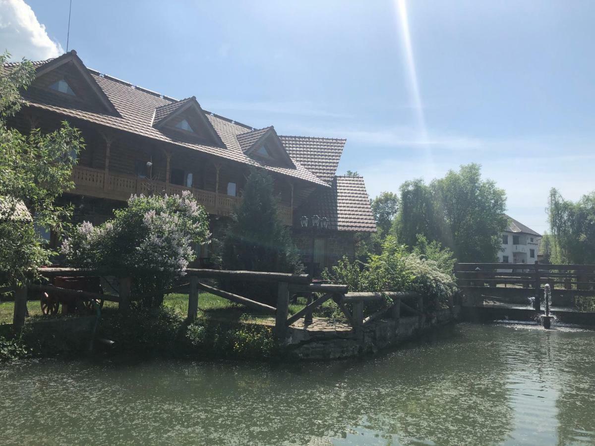 La pintea haiducu Deseşti Exterior foto